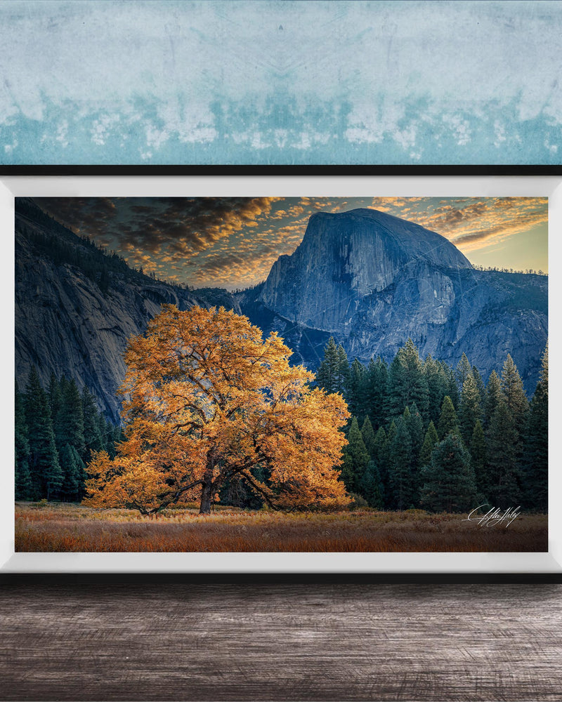 The image is a framed photograph depicting a scenic landscape with a large tree in the foreground, a majestic mountain range in the background, and a blue sky with clouds.