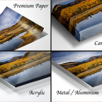 The image is a collage of four different views of a landscape, including a reflection of the landscape in water and a close-up of the trees.