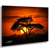 a lone tree silhouetted against a vibrant sunset sky, with the sun setting behind the tree and casting a warm, orange glow across the landscape.