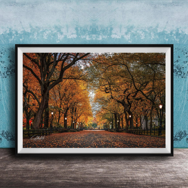 A framed photograph depicting a tree-lined street with fallen leaves, set against a blue wall.
