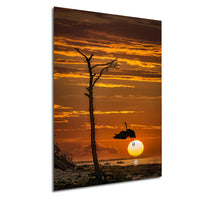 a serene sunset over a body of water, with a silhouetted tree and a bird flying in the foreground.