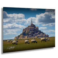 A pastoral scene with a large castle or fortification in the background, surrounded by a grassy field where a herd of sheep are grazing.