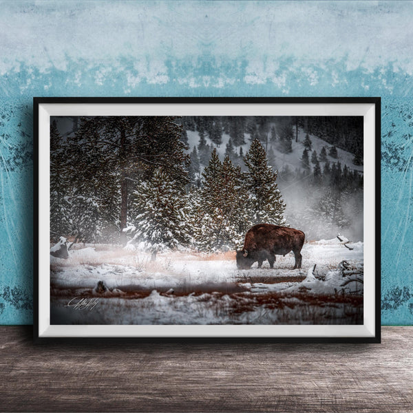 Bison Wall Art – Yellowstone Canvas Print | Authentic Wildlife Artwork