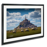 A framed photograph depicting a pastoral scene with a large castle or fortification in the background, surrounded by a grassy field where a herd of sheep are grazing.