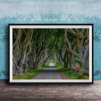 A framed photograph depicting a winding road lined with twisted, gnarled trees, creating a natural tunnel-like effect.