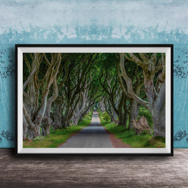 A framed photograph depicting a winding road lined with twisted, gnarled trees, creating a natural tunnel-like effect.