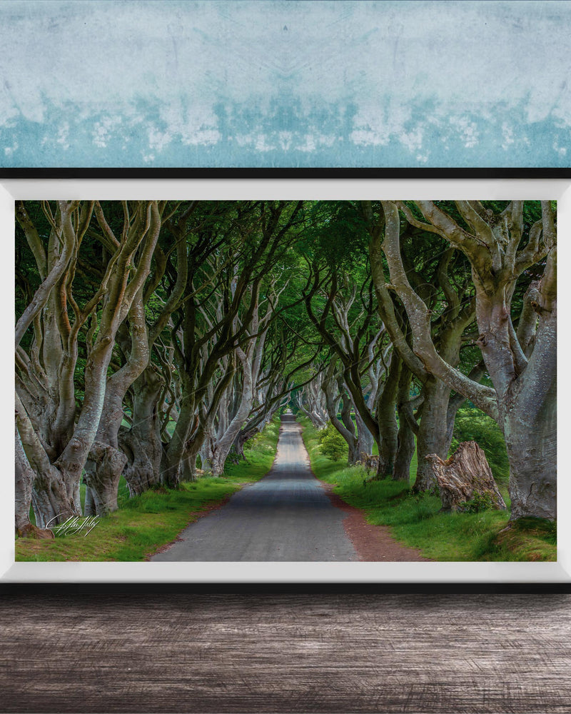 A framed photograph depicting a winding road lined with twisted, gnarled trees, creating a natural tunnel-like effect.