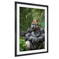 gorilla photography, silverback wall art, uganda jungle print, wildlife fine art, african nature decor, primate photo art, rainforest wall decor, safari home artwork, jungle wildlife print, gorilla portrait art, bwindi forest photo, african wilderness decor, nature lover gift, travel wall art, exotic wildlife image
