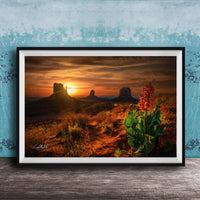 A framed photograph depicting a desert landscape at sunset, with a red flower in the foreground and silhouetted mountains in the background.