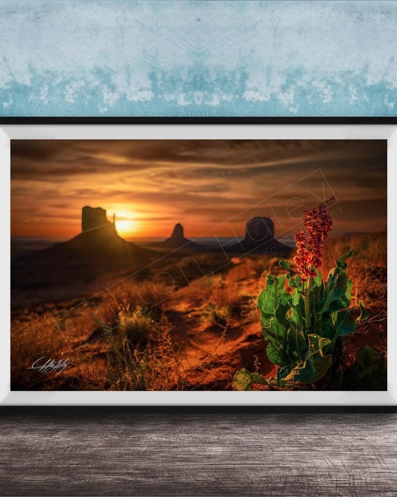 A framed photograph depicting a desert landscape at sunset, with a red flower in the foreground and silhouetted mountains in the background.