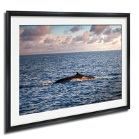 A framed photograph of a whale swimming in the ocean, with a cloudy sky in the background.