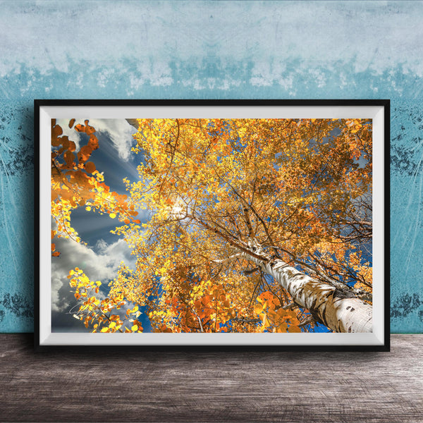 A framed photograph of a tree with vibrant yellow leaves against a blue sky with clouds, displayed on a wooden surface against a textured blue wall.