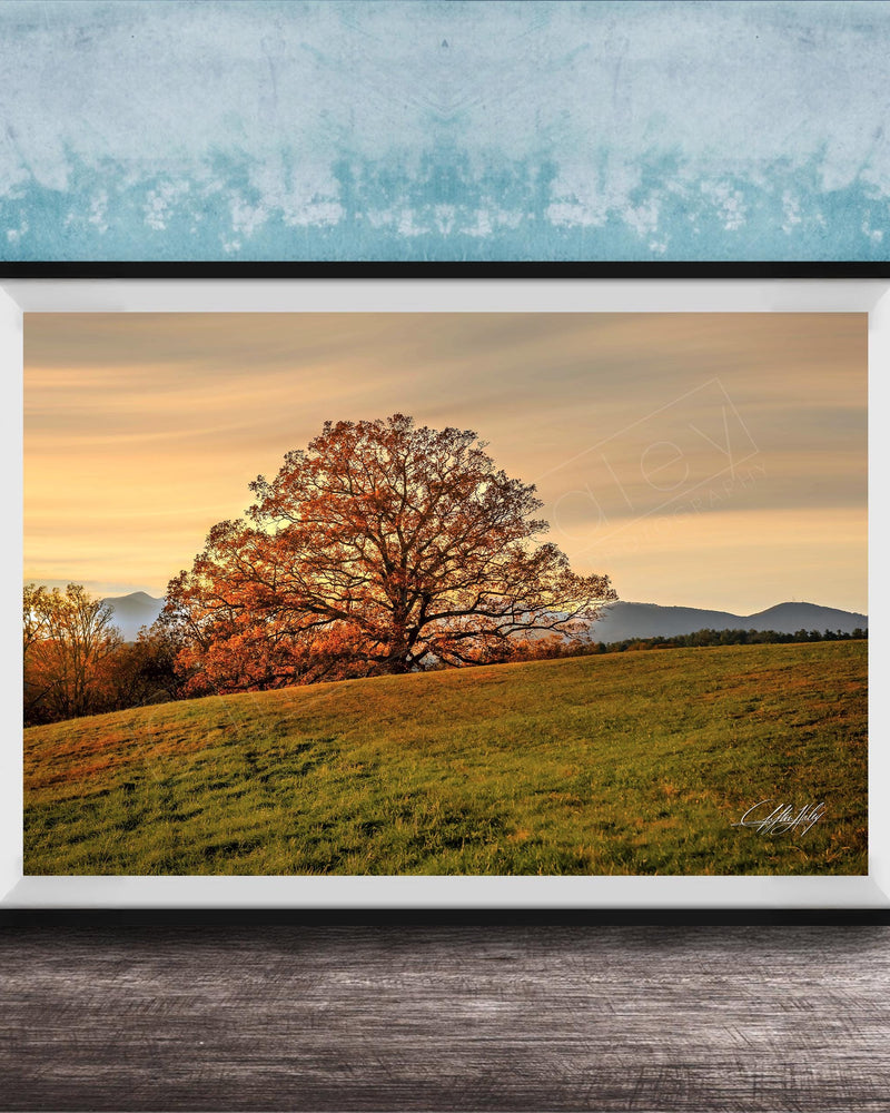 a large tree with orange leaves on a grassy hill, set against a backdrop of mountains and a blue sky with clouds.