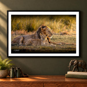 A framed photograph of a lion and its cub resting in a grassy field, with a potted plant and a small elephant figurine on a wooden surface below the frame.