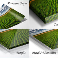The image is a collage of four different images, each depicting a field of crops. The images are labeled as "Premium Paper", "Canvas Wrap", "Acrylic", and "Metal/Aluminum".