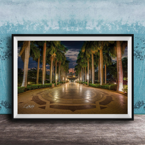 A framed photograph depicting a serene nighttime scene of a palm-lined walkway with a circular pattern, illuminated by warm lighting.