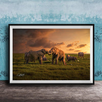 A framed photograph depicting a group of elephants in a grassy field at sunset, with the sky filled with clouds and warm hues.