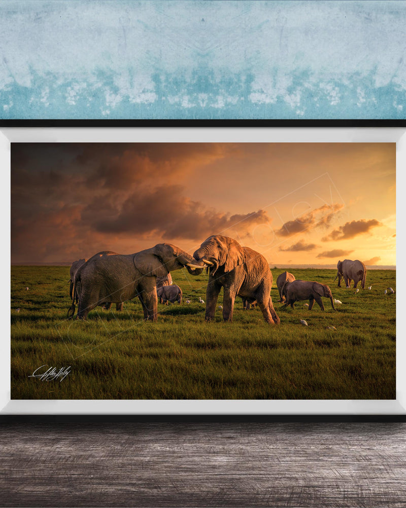 A framed photograph depicting a group of elephants in a grassy field at sunset, with the sky filled with clouds and warm hues.