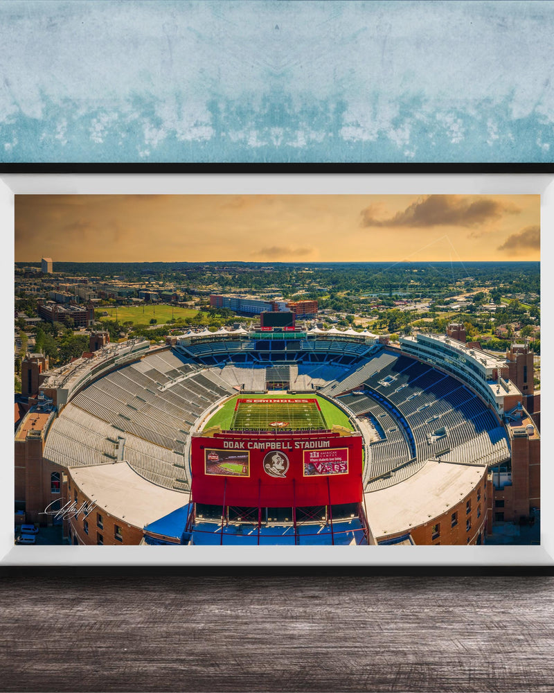 The image is a framed photograph of a football stadium, specifically the dome stadium at Duke Campbell Stadium, with a cityscape in the background.