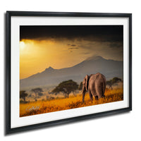 A majestic elephant stands in a field of golden grass, with a dramatic mountain range in the background under a vibrant sunset sky.