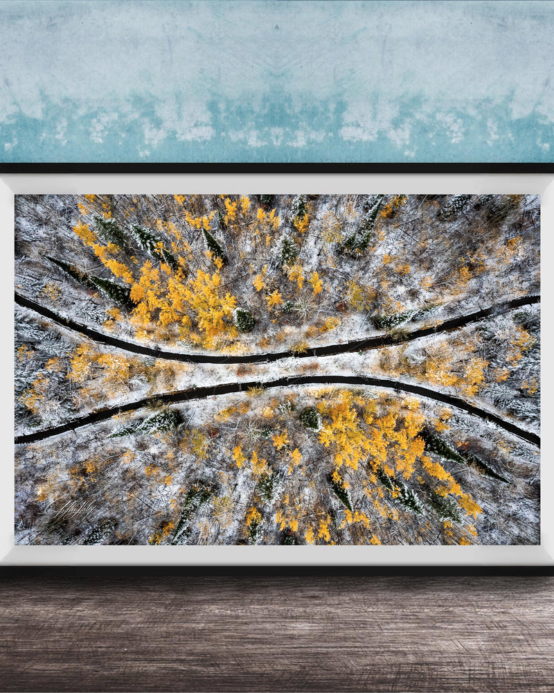 The image is a framed aerial photograph of a snowy forest with yellow and green foliage.