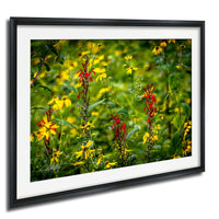 A framed photograph of a vibrant field of yellow and red flowers, with a lush green background.