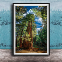 A large, towering redwood tree stands in a lush, verdant forest, its massive trunk and branches reaching towards the sky. The tree's reddish-brown bark contrasts with the surrounding greenery, creating a striking visual. In the foreground, a wooden bench invites visitors to sit and enjoy the serene natural setting. The image is framed, suggesting it is a piece of art or photography.