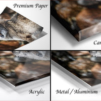 The image is a collage of four photographs depicting a wolf in different settings, including a close-up of the wolf's face, a close-up of the wolf's body, and a close-up of the wolf's face and body. The photographs are labeled as "Premium Paper", "Canvas Wrap", "Acrylic", and "Metal/Aluminum".