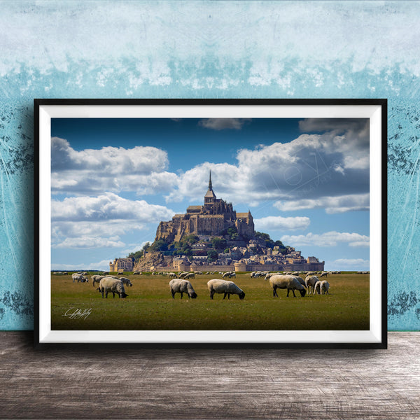 A framed photograph depicting a pastoral scene with a large castle or hill in the background, surrounded by a grassy field where a herd of sheep are grazing.
