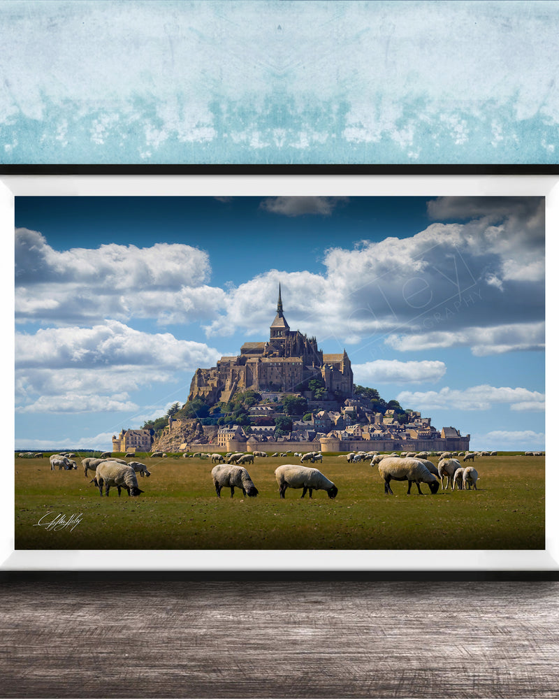 A framed photograph depicting a pastoral scene with a large castle or hill in the background, surrounded by a grassy field where a herd of sheep are grazing.