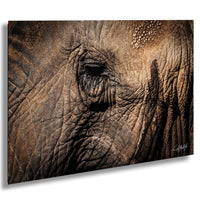 A close-up photograph of the eye of an elephant, showcasing its intricate texture and depth.